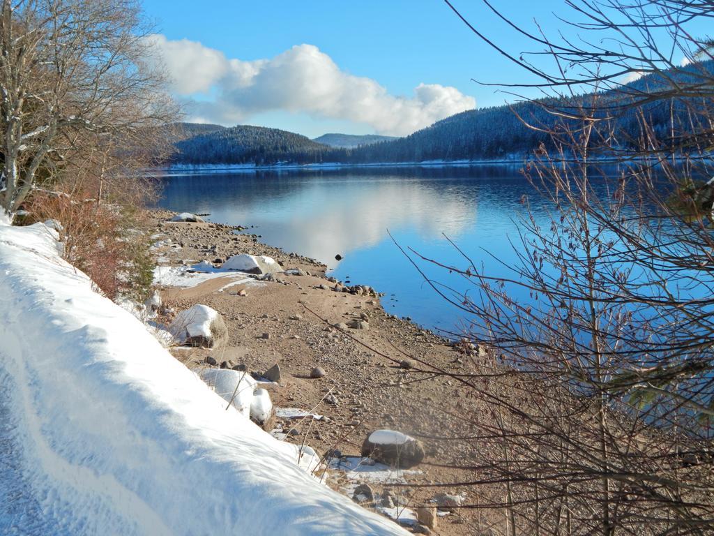 Hochschwarzwald-Hof Hotel ชลูคซี ภายนอก รูปภาพ