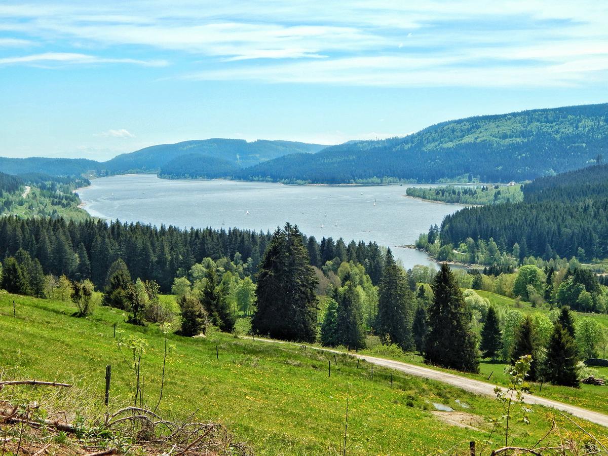 Hochschwarzwald-Hof Hotel ชลูคซี ภายนอก รูปภาพ